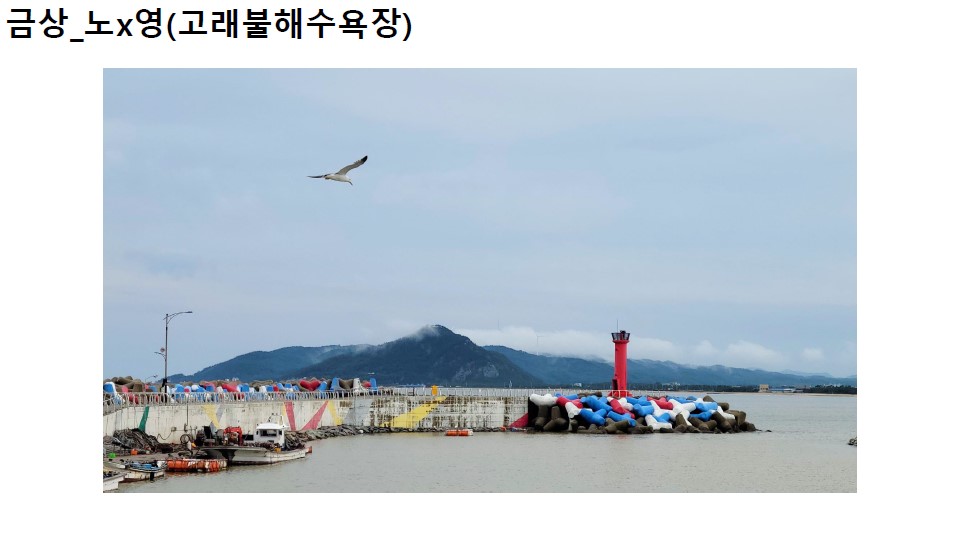 영덕DMO_대게좋은 사진2
