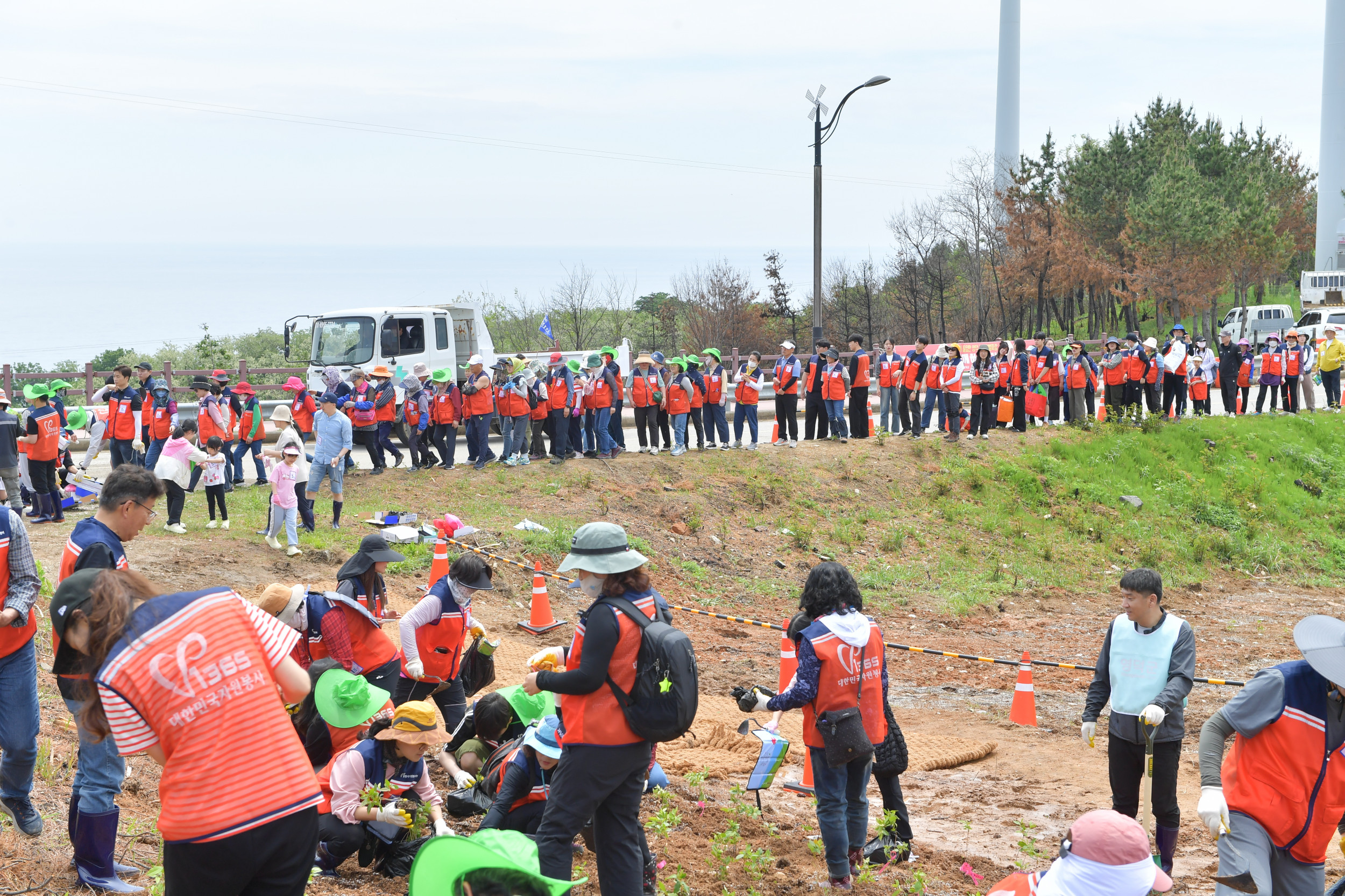 2025 영덕DMO_리부트 캠페인(진달래심기)2