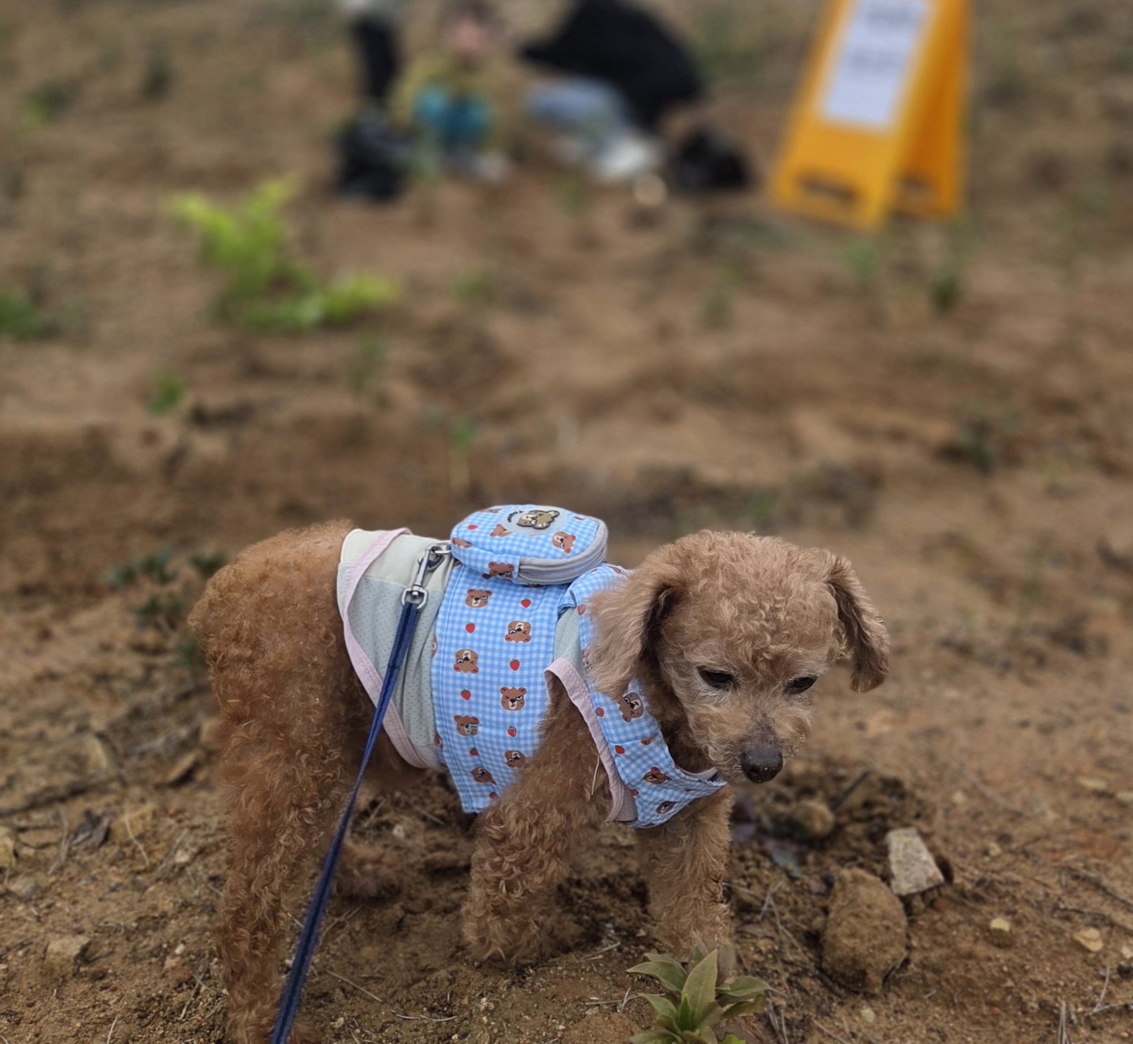 2025 지역주도형 관광서비스 경쟁력 강화사업 - Again to 영덕5