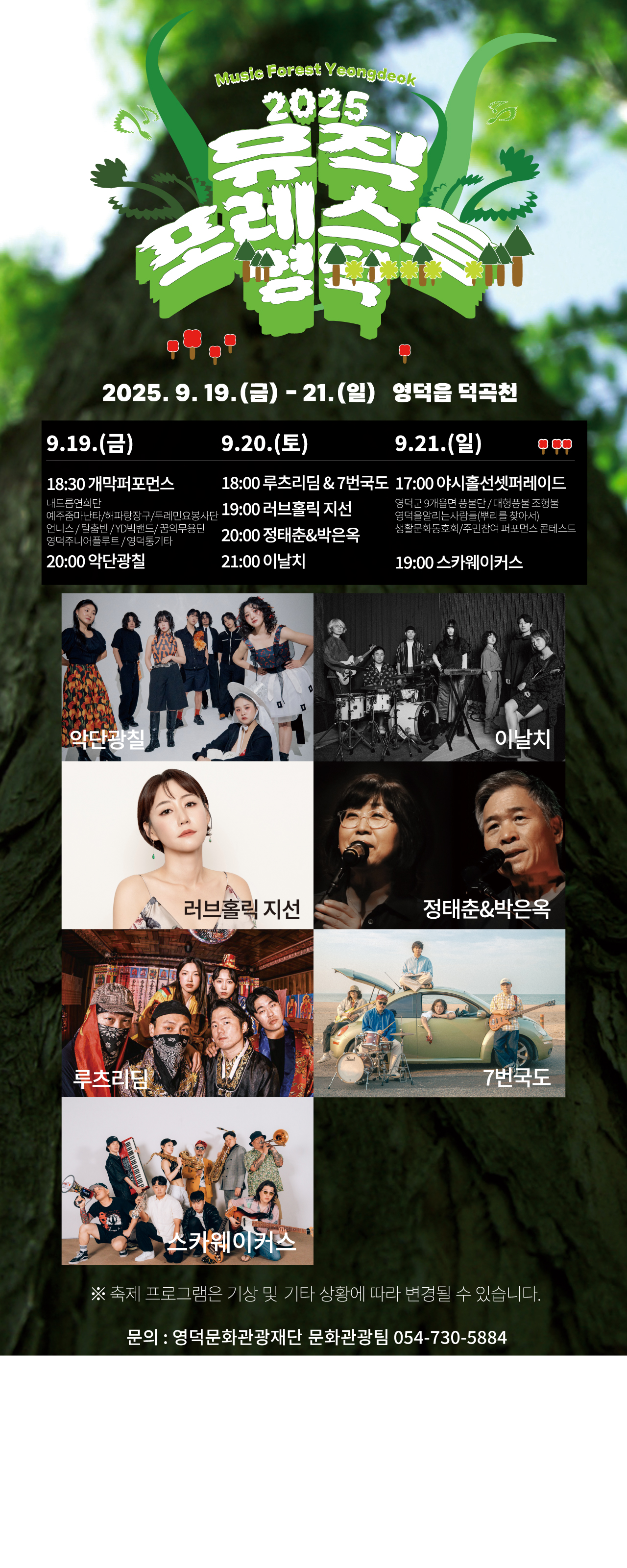 2025 뮤직포레스트 영덕2