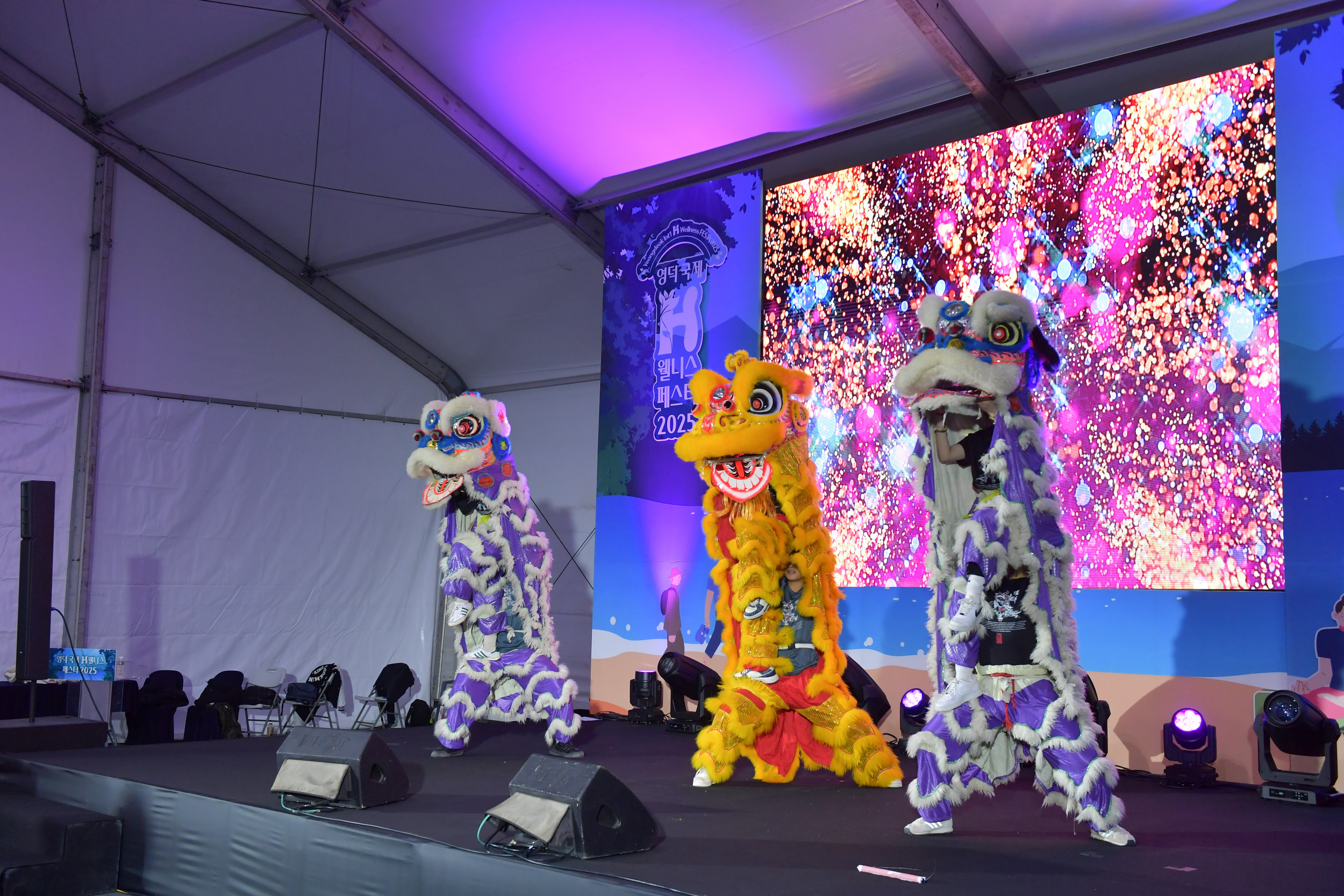 2025  영덕국제H웰니스페스타 4