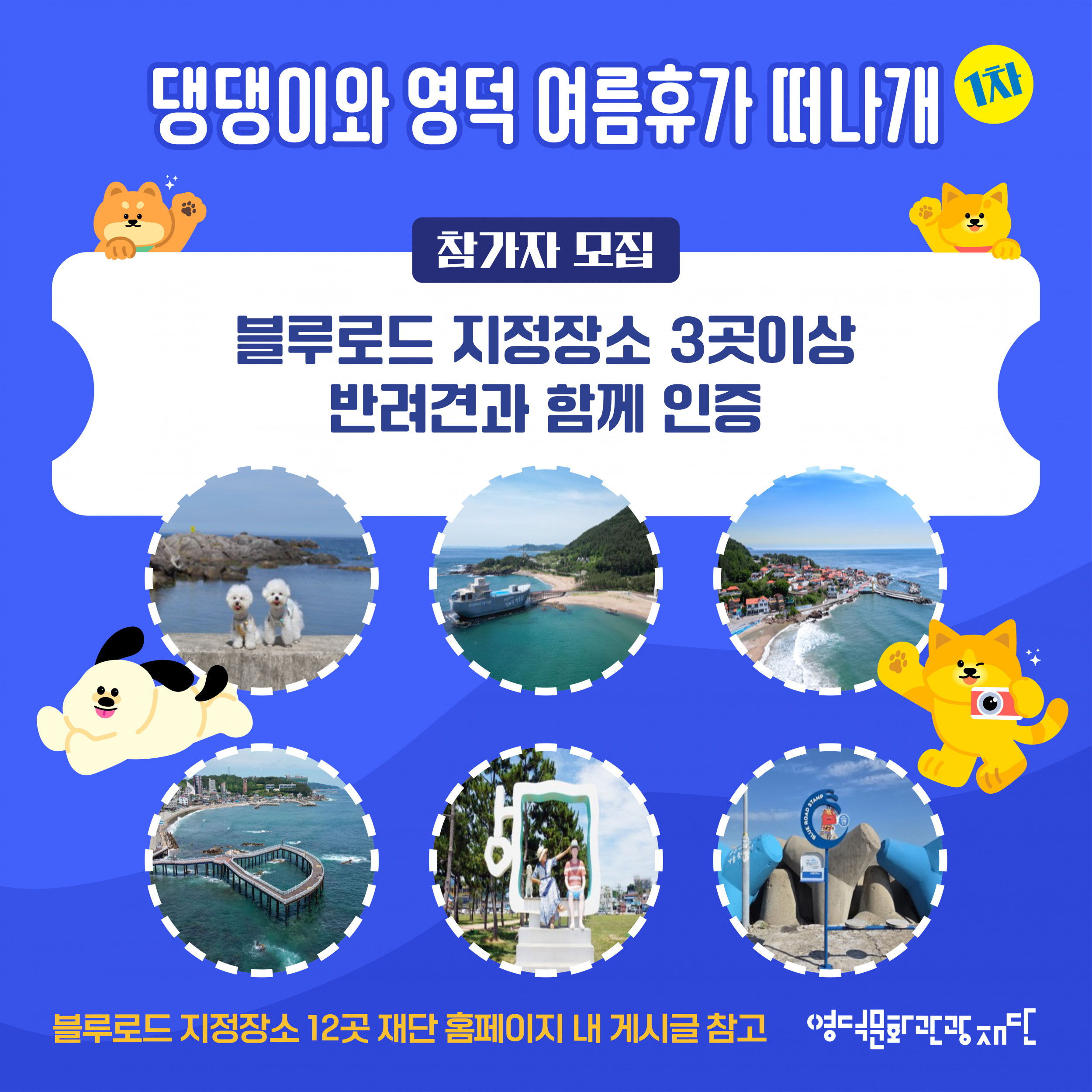 🐶 2025 댕댕이와 영덕 여름휴가 떠나개 1차 참가자 모집 🐕4