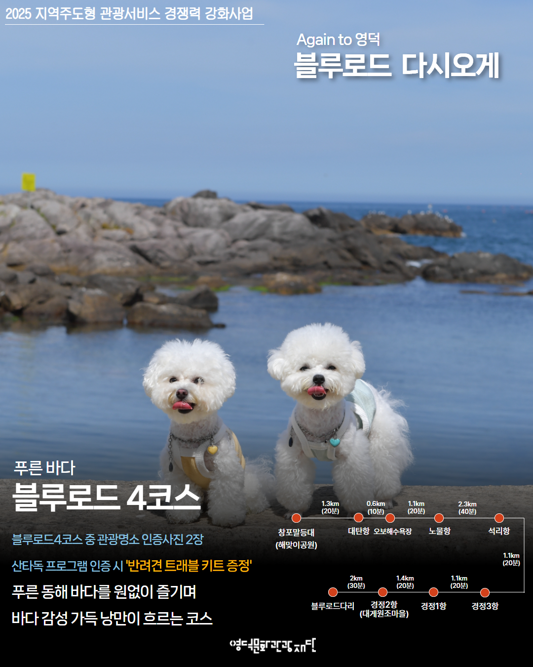🏃‍♂️Again to 영덕 - 블루로드 다시 오게 (자유여행 프로그램) 2회차 참가자 모집 🐶2